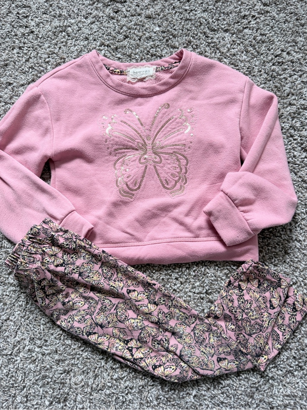 Butterfly pink set
